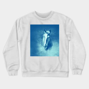 Horse emerging from the blue mist Crewneck Sweatshirt